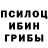 Галлюциногенные грибы мицелий SmirnoVVVskaya