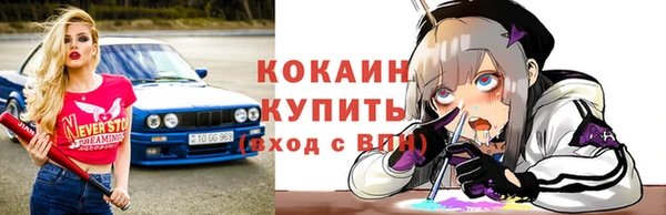 гидропоника Елабуга