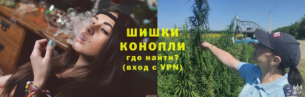 гидропоника Елабуга