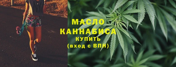 прущие крисы Ельня
