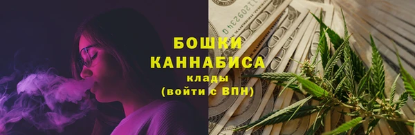 прущие крисы Ельня