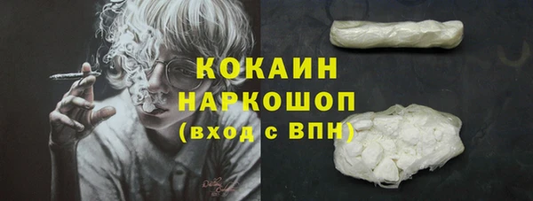 гидропоника Елабуга