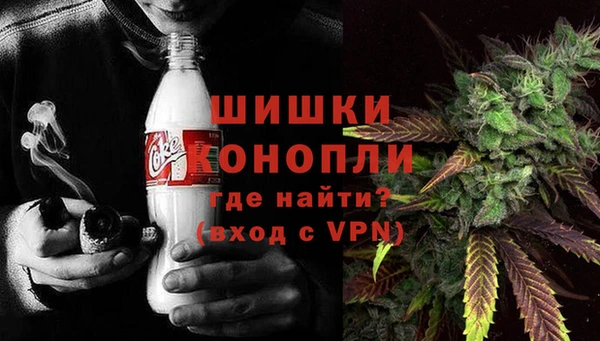прущие крисы Ельня