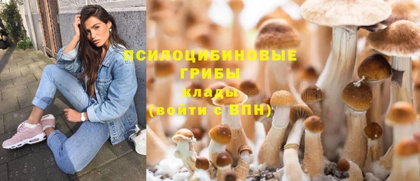 синтетический гашиш Елизово