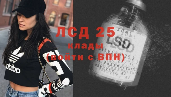 гидропоника Елабуга