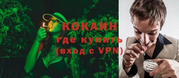 прущие крисы Ельня