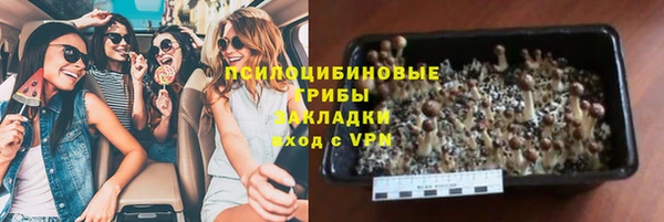 гидропоника Елабуга