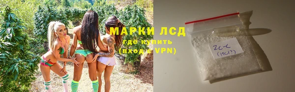 прущие крисы Ельня